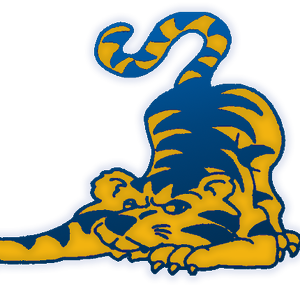 Team Page: Fisher Elementary